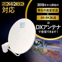 DXアンテナ 45形BS110度CSアンテナ/EC販売限定商品 BC45AS 1個（直送品）