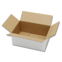 白ダンボール B5用ー110 002122931 1ケース（20枚入）（直送品）