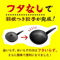 イートアンド イートアンド[冷凍]大阪王将 羽根つきスタミナ肉餃子12個入 s-981 1セット（2ケース×20袋入）（直送品）
