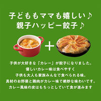 イートアンド [冷凍]大阪王将 羽根つきカレー餃子12個 s-980  1セット（2ケース×20袋入）（直送品）