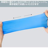 医療用 ニトリル手袋 1000枚(10箱セット) LLサイズ パウダーフリー RAMEDICO 一般医療機器クラス1 食品衛生法適合品（直送品）