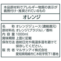 オレンジ 100 1セット(1000ml×6個) マルサンアイ　マルサンアイ（直送品）