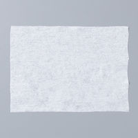 昭和紙工 除菌ウェットティシューボトル詰替 100枚入 4580104821849 1袋(100枚入)