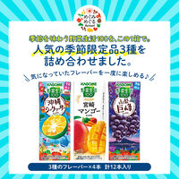 カゴメ 野菜生活100 季節限定品 めぐみめぐる3種アソートセット 1セット（24本:3種×8本)