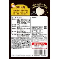 グミ ネクター果実食感グミ（和梨）48g 不二家 1セット（1袋×10） 小袋 食べ切りサイズ
