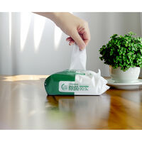 エコー ノンアルコール除菌ウェットティッシュ60枚×3P 1セット(16個入)(2880枚)（直送品）