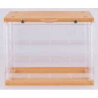 【軒先渡し】不二貿易 コレクションケース hina 幅300×奥行176×高さ233mm YellowMarigold 1台（直送品）