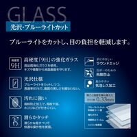 ナカバヤシ iPad Pro11インチ用 ガラスフィルム 光沢・ブルーライトカット TBF-IPP241GKBC 1個