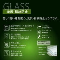 ナカバヤシ iPad Pro13インチ用 ガラスフィルム 光沢・指紋防止 TBF-IPP242GS 1個