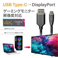 ナカバヤシ TypeーC ー DisplayPort 変換ケーブル 8K60Hz 1m USD-DP8K10BK 1個