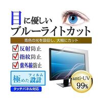 保護フィルム オリオン OLS24WD10A 24インチ ブルーライトカット cblm-tv-k0001766880 1枚（直送品）