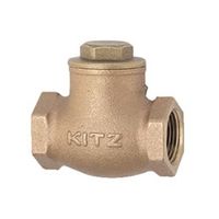 エスコ 1・1/2” スイングチャッキバルブ(青銅製) EA465A-64 1個（直送品）