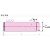 大喜多 ダウエルピン DP-C 13X100 DPC-130100 1セット(5本)（直送品）