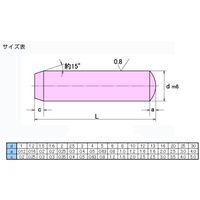 大喜多 平行ピン A種 S45C 3X24 SPA-C-030024 1セット(120本)（直送品）