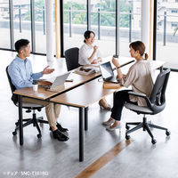 サンワサプライ フリーアドレスデスク(W2700mm) EHD-MTG270100LM 1台（直送品）