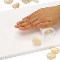 パール金属 にんにく皮むき ニンニク皮むき器 便利小物 232741 1個（直送品）