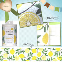 菊池襖紙工場 Trimboderはがせる壁紙 シール ボーダータイプステッカー シトロン WL100501 1本（直送品）