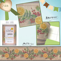 菊池襖紙工場 Trimboderはがせる壁紙 シールボーダータイプステッカー ノエル WL100506 1セット（12本入）（直送品）