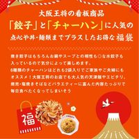 イートアンド 大阪王将　中華パーティー福袋 s-960 1セット（直送品）