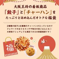 イートアンド 大阪王将 スタメン大集合福袋 s-959 1セット（直送品）