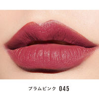 アントレックス Front Cover シアーステイオンリップグロス 045 6957317629452 1箱（直送品）