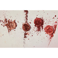 アントレックス Front Cover アイシャドウ スプラッシュ 6957317679037 1箱（直送品）