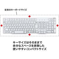 サンワサプライ USBキーボード(ホワイト) SKB-L1UN 1個