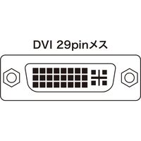 サンワサプライ ディスプレイ切替器(DVI24pin用)・2回路 SW-EDV2N2 1個