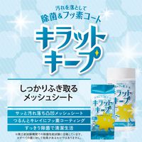 【アウトレット】【Goエシカル】訳あり ウェットティッシュ 60枚 除菌 フッ素コート アルコール メッシュ HA-WCKC60 エレコム 1個