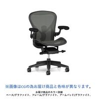 ハーマンミラー アーロンチェア リマスタード AER1 B 23DW ALP G1 BB BK 23103 1脚　サイズB