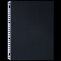 アスクル　リング式ファイル用ポケット　A4タテ　30穴　丈夫な穴で20枚収容　1袋(100枚)  オリジナル（わけあり品）