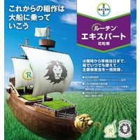 バイエル ルーチンエキスパート箱粒剤 9kg 2056677 1袋 クロップサイエンス（直送品）