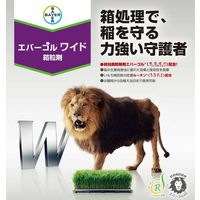 バイエル エバーゴルワイド箱粒剤 1kg 2056624 1袋 クロップサイエンス（直送品）