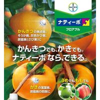 バイエル ナティーボフロアブル 500mL 2056652 1本 クロップサイエンス（直送品）