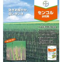 バイエル センコル水和剤 100g 2056647 1パック バイエル クロップサイエンス（直送品）