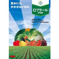バイエル ロブラール水和剤 500g 2056683 1袋 クロップサイエンス（直送品）