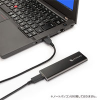 センチュリー 裸族のM.2 NVMe SSD 引越キット CRAHKM2NVU32 1個