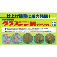 石原バイオサイエンス 石原バイオ グラスジンMナトリウム 500ml 2056896 1本（直送品）