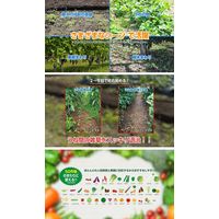 住友化学園芸 グリーンスキットシャワー 4.2L 2056930 1個（直送品）