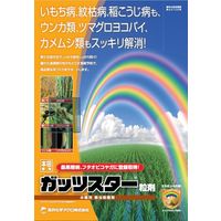 三井化学 ガッツスター粒剤 3kg 2056956 1袋（直送品）