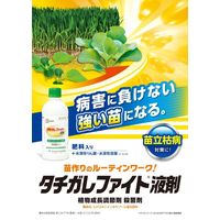 三井化学 タチガレファイト液剤 500ml 2056992 1本（直送品）