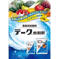 三井化学 テーク水和剤 250g 2056998 1袋（直送品）