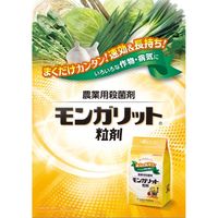 三井化学 モンガリット粒剤 3kg 2057025 1袋（直送品）