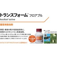 ダウ・アグロサイエンス日本 ダウケミカル トランスフォームフロアブル 250ml 2057039 1個（直送品）