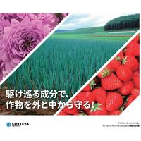ダウ・アグロサイエンス日本 ダウケミカル ラリー水和剤 250g 2057045 1袋（直送品）