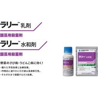 ダウ・アグロサイエンス日本 ダウケミカル ラリー水和剤 100g 2057046 1袋（直送品）