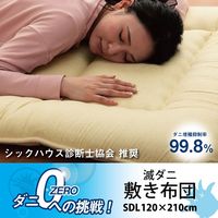 イケヒコ 敷き布団 滅ダニ セミダブルロング 1200×2100mm - 1202890025102 1枚（直送品）