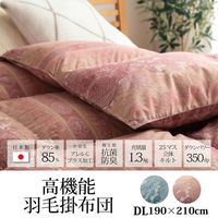 イケヒコ 羽毛掛布団 ベリーズ ダブルロング 1900×2100mm ブルー 1201851042402 1枚（直送品）