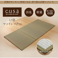 イケヒコ い草マットレスＰＲＯ 1400×2100mm 1360140011401 1枚（直送品）