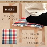 イケヒコ 中身い草のシート 400×400mm 1360230010101 1枚（直送品）